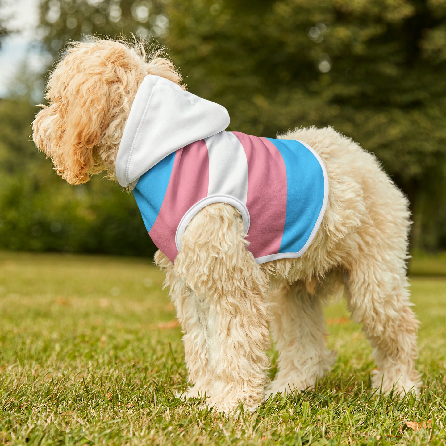 Pet Hoodie Transgender Flag
