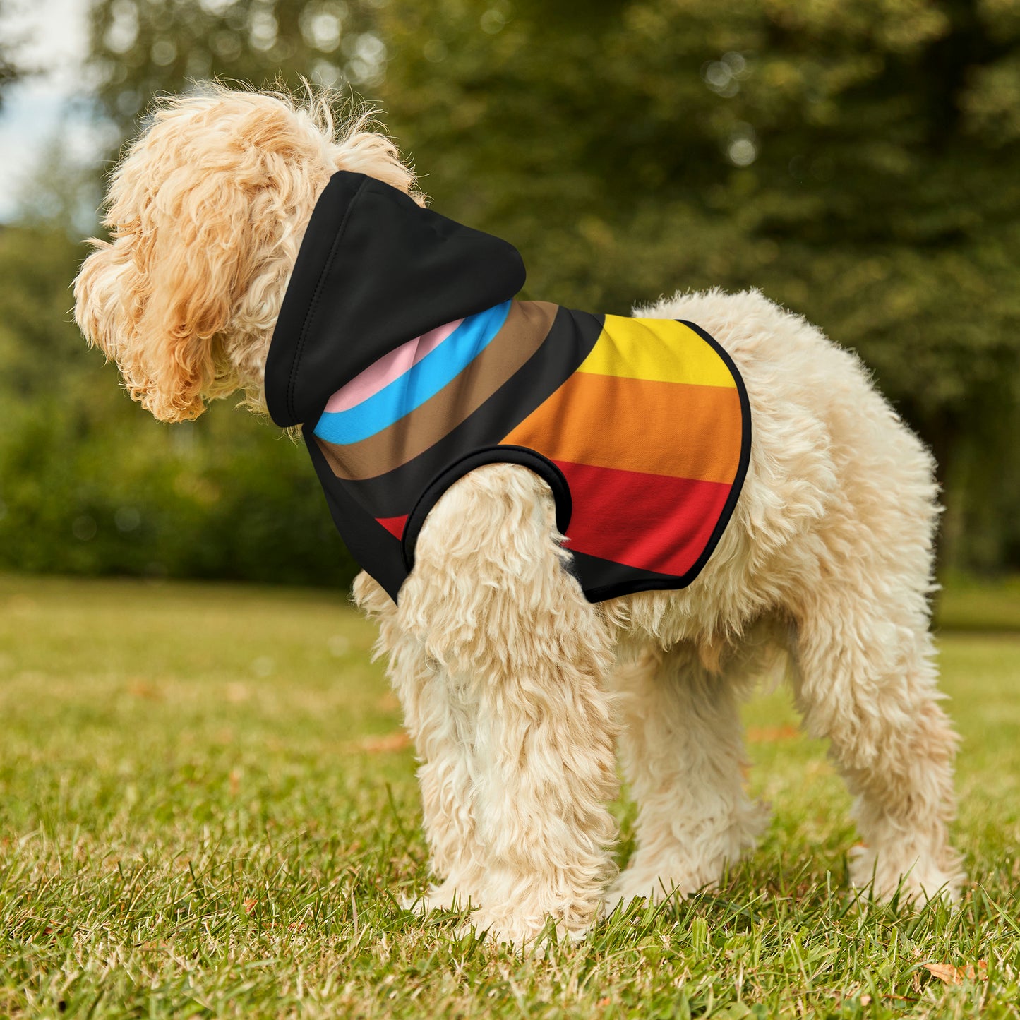 Philly Inspired Pride Flag Pet Hoodie
