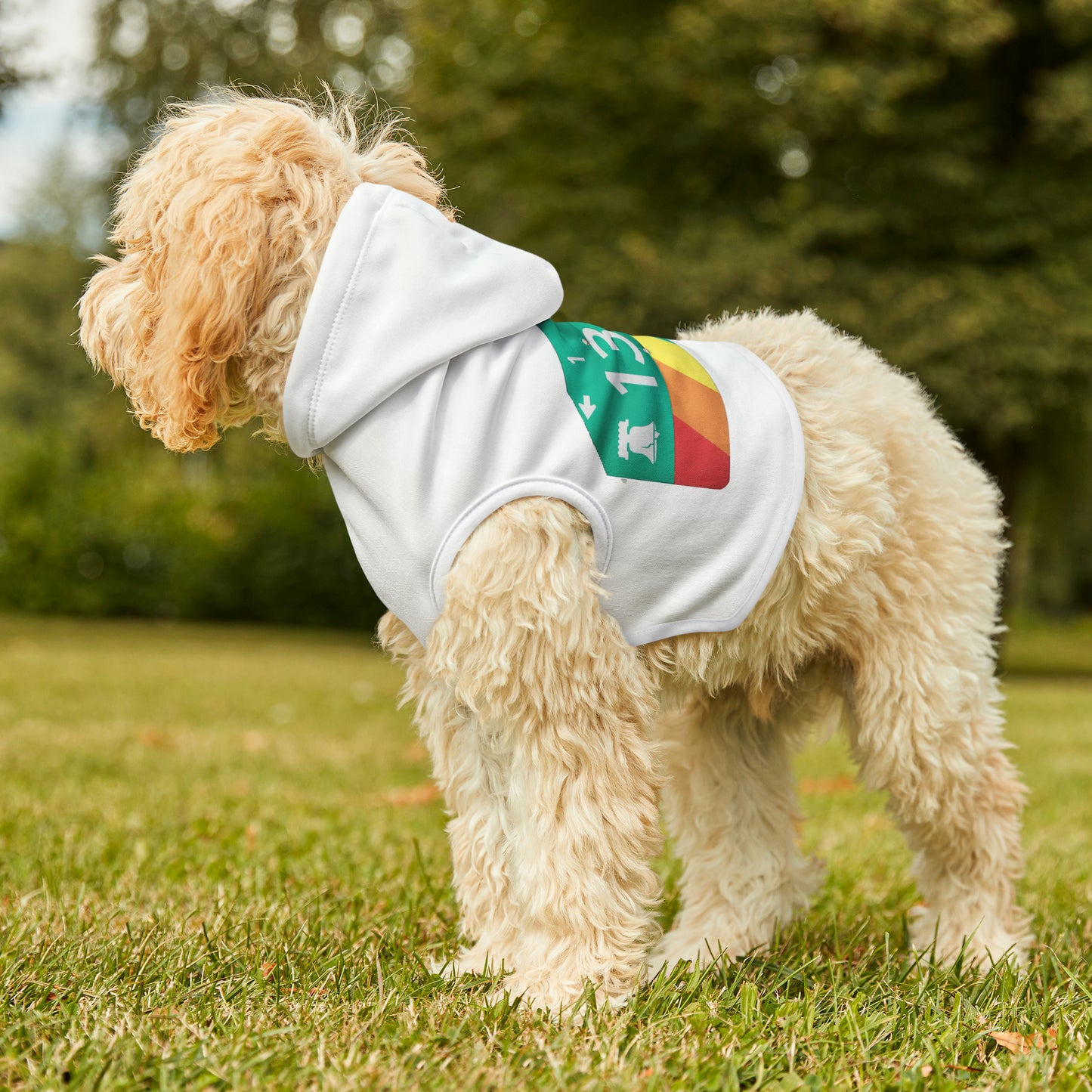 13th Street Gayborhood Pet Hoodie