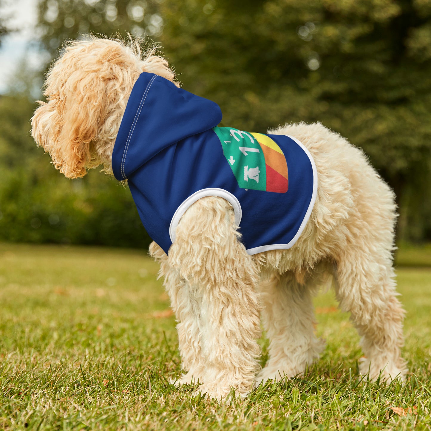 13th Street Gayborhood Pet Hoodie (Blue)