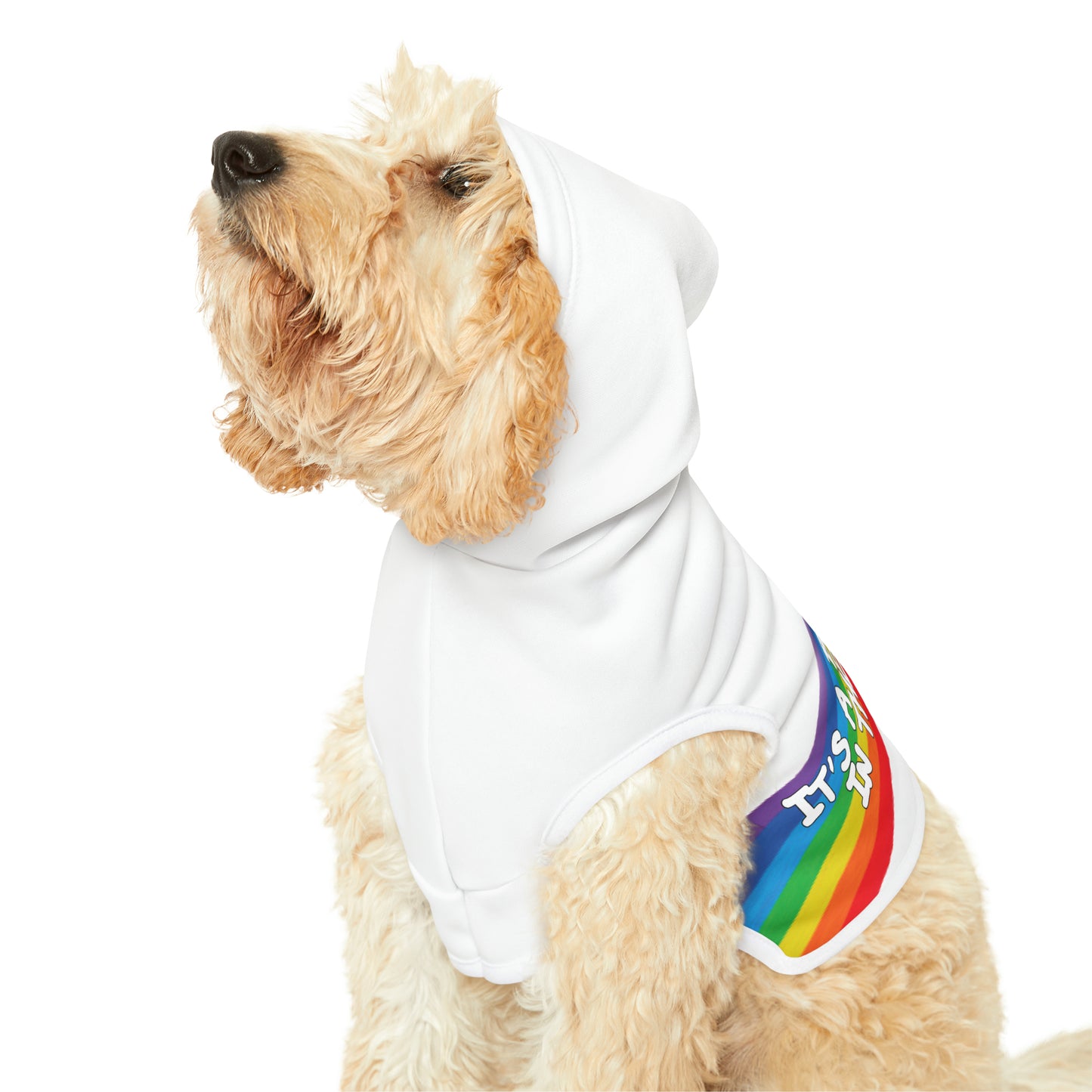 Beautiful Day in the Gayborhood Pet Hoodie