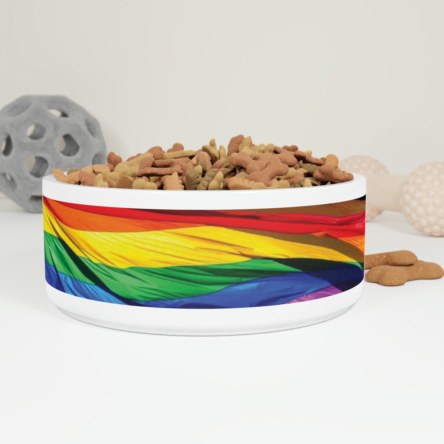 Rainbow Pet Bowl
