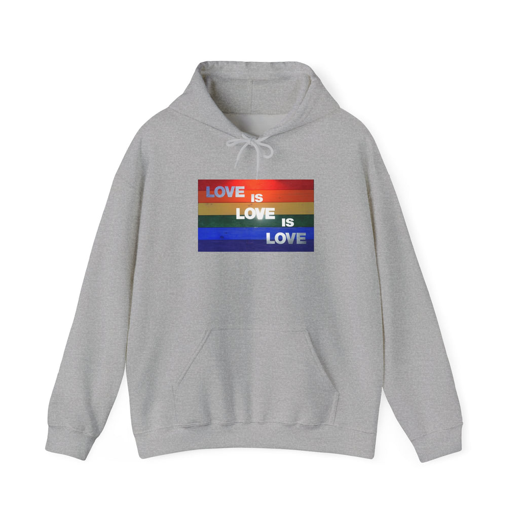 Love is Love is Lovel Heavy Blend™ Hoodie