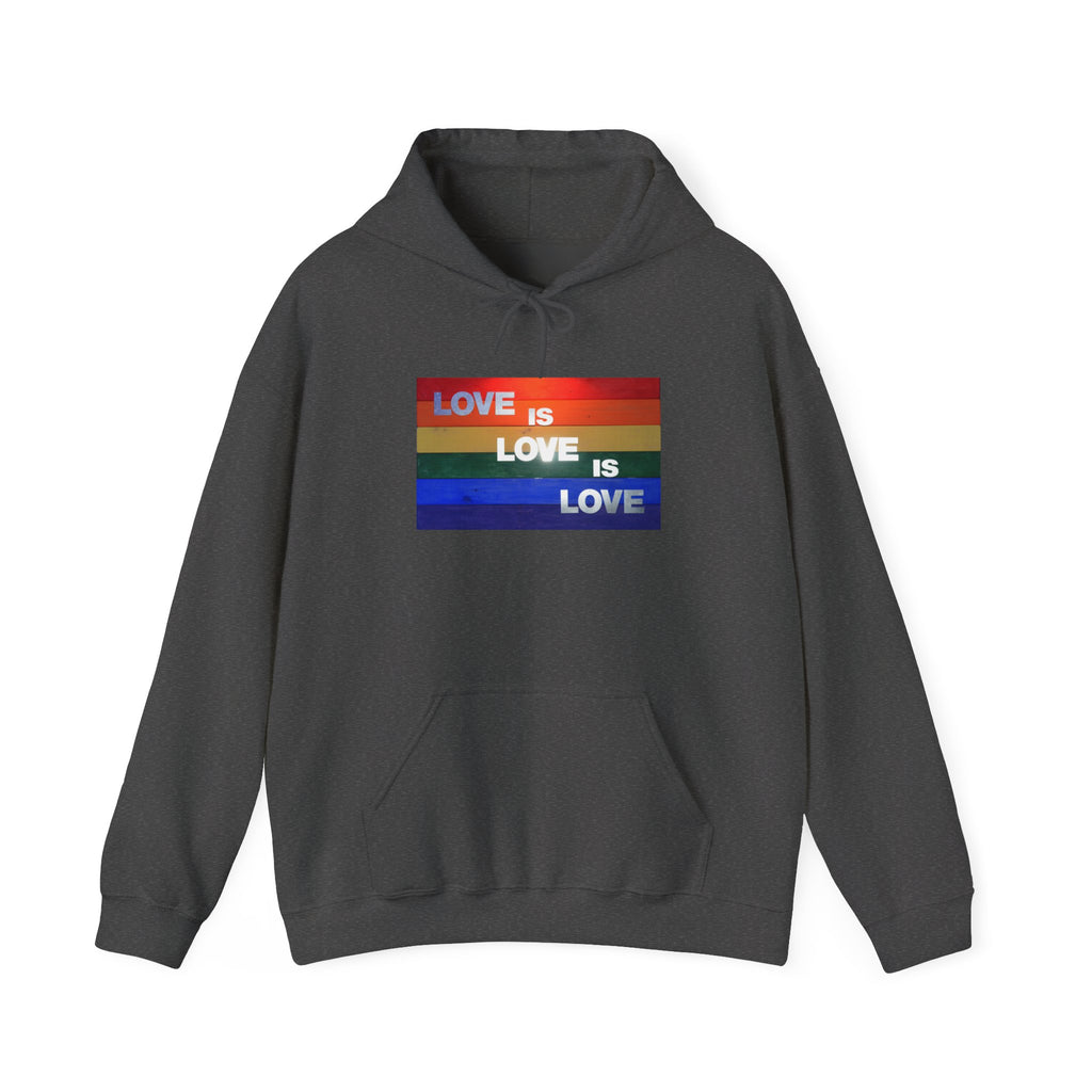 Love is Love is Lovel Heavy Blend™ Hoodie