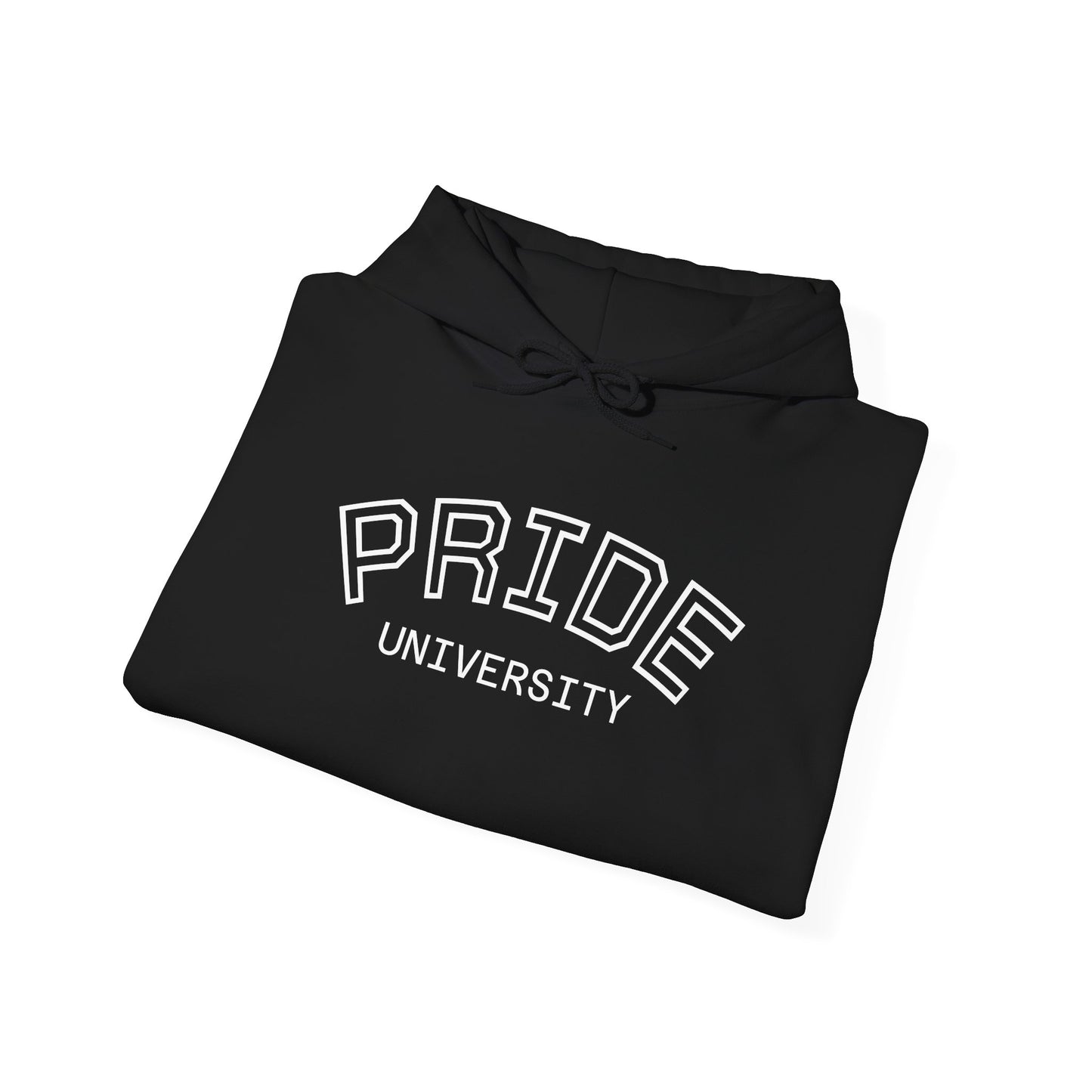 PRIDE University Hoodie - Unisex Hooded Sweatshirt