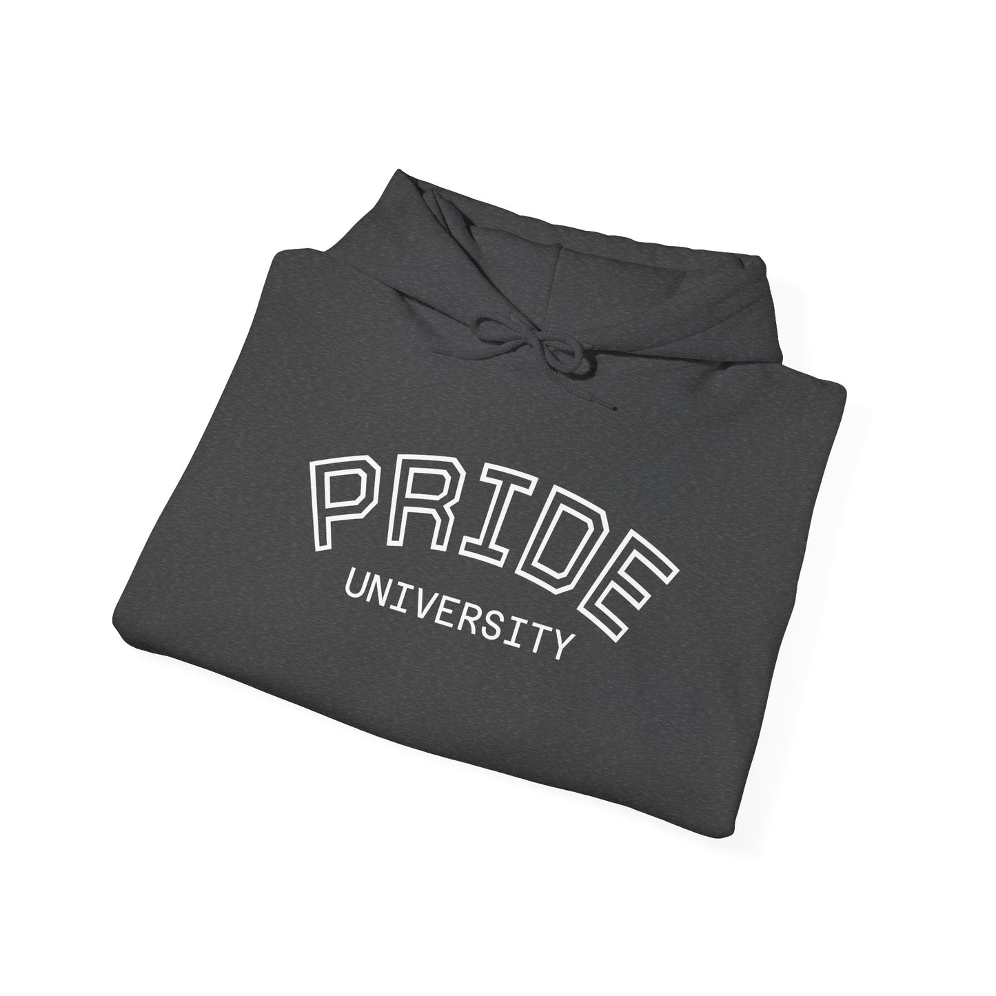 PRIDE University Hoodie - Unisex Hooded Sweatshirt