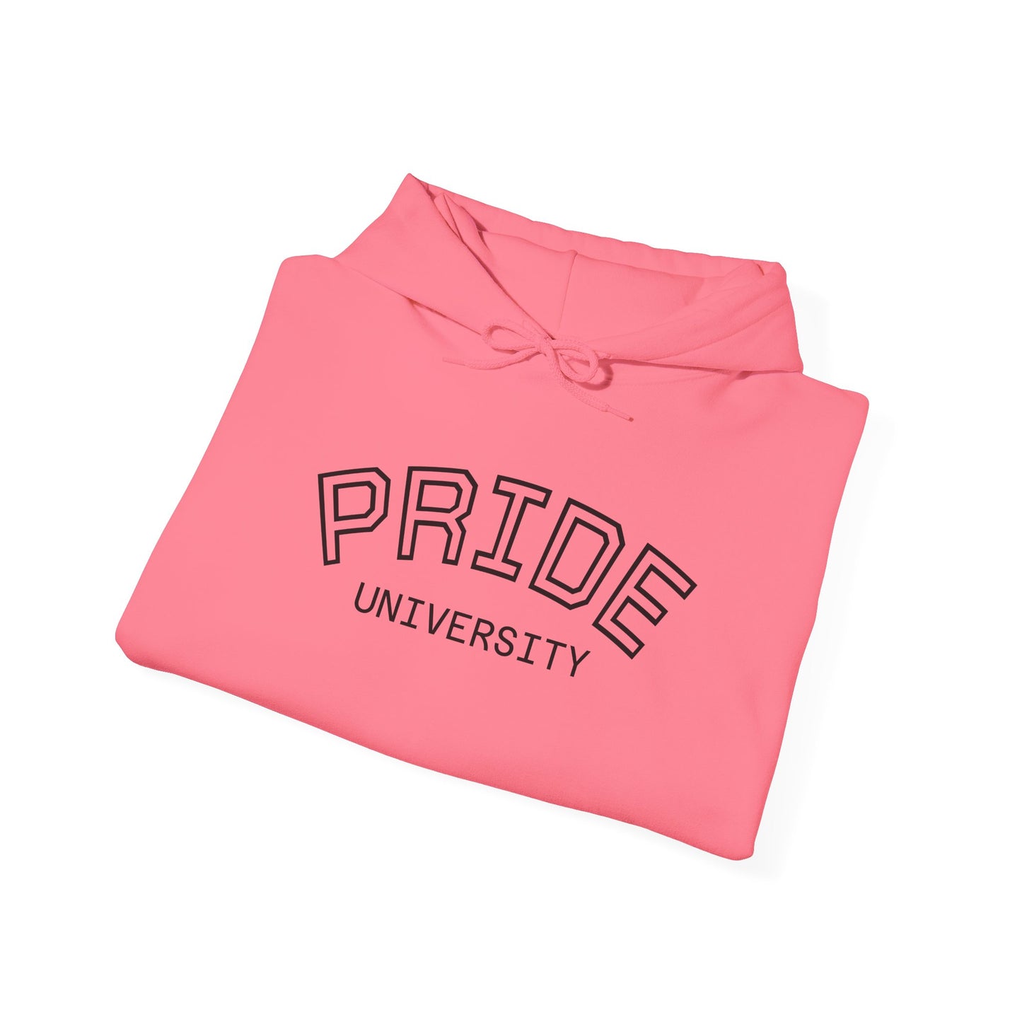 PRIDE University Hoodie - Unisex Hooded Sweatshirt