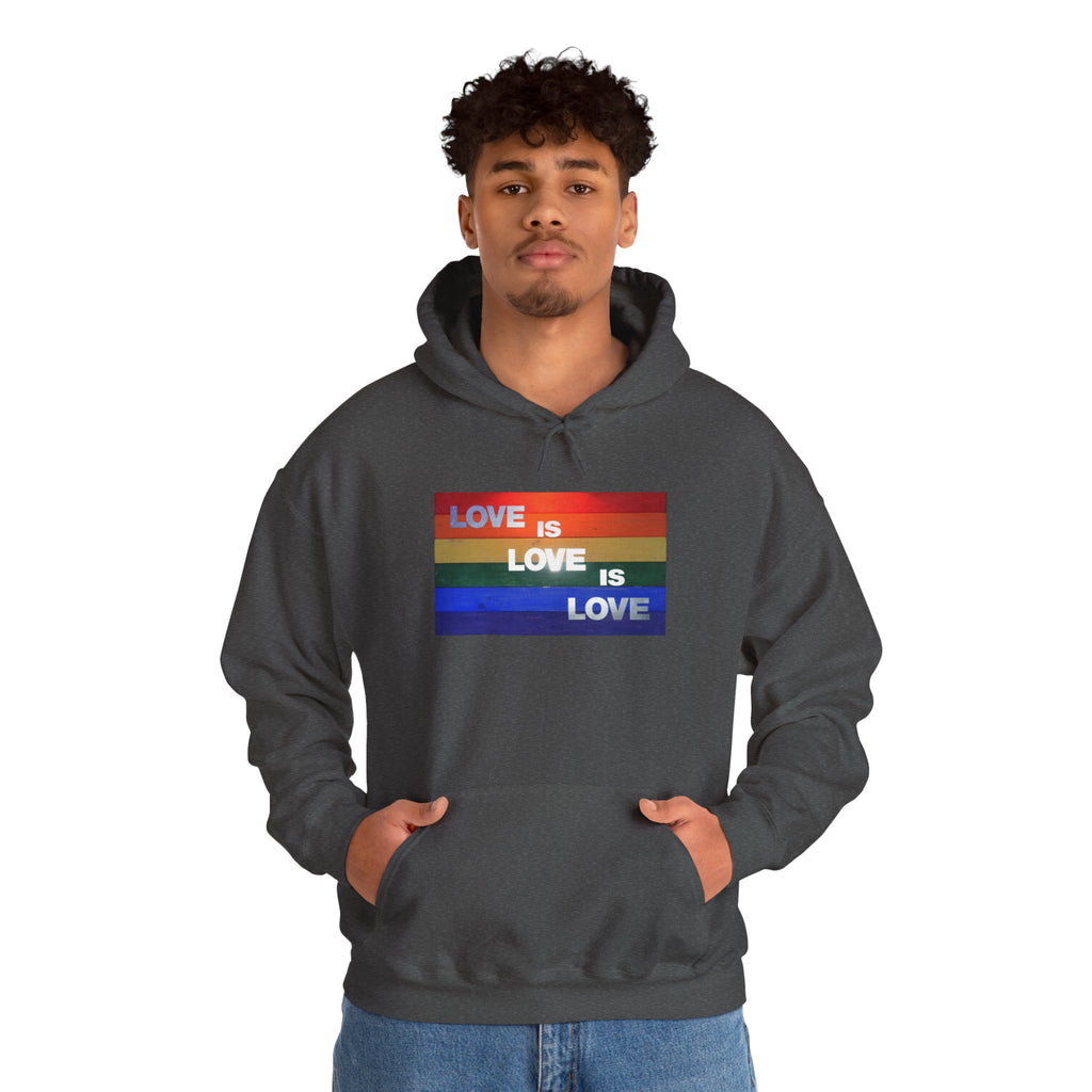 Love is Love is Lovel Heavy Blend™ Hoodie