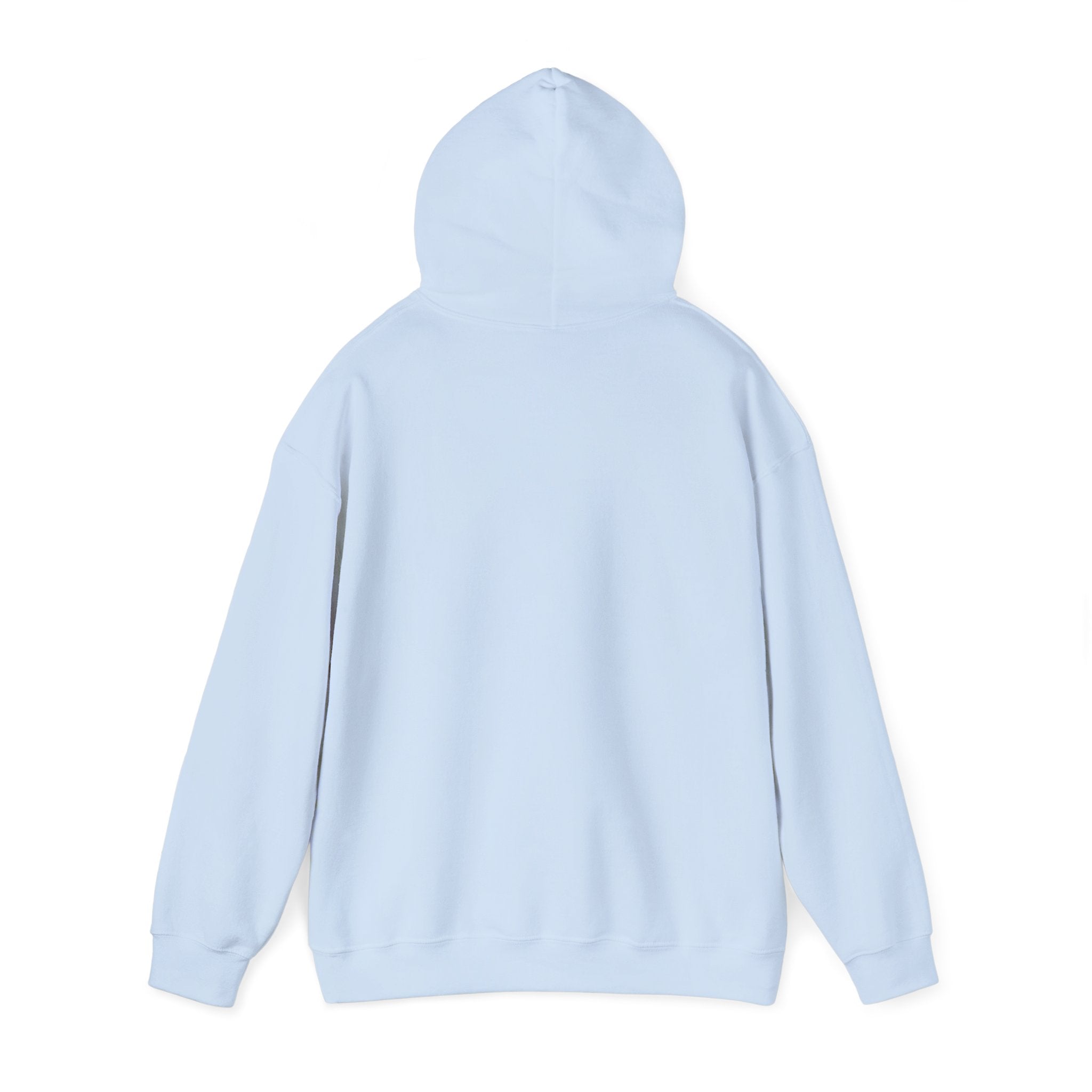 Grew up in the Gayborhood Hooded Sweatshirt