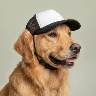 Dog Foam Trucker Hat - Transgender Flag