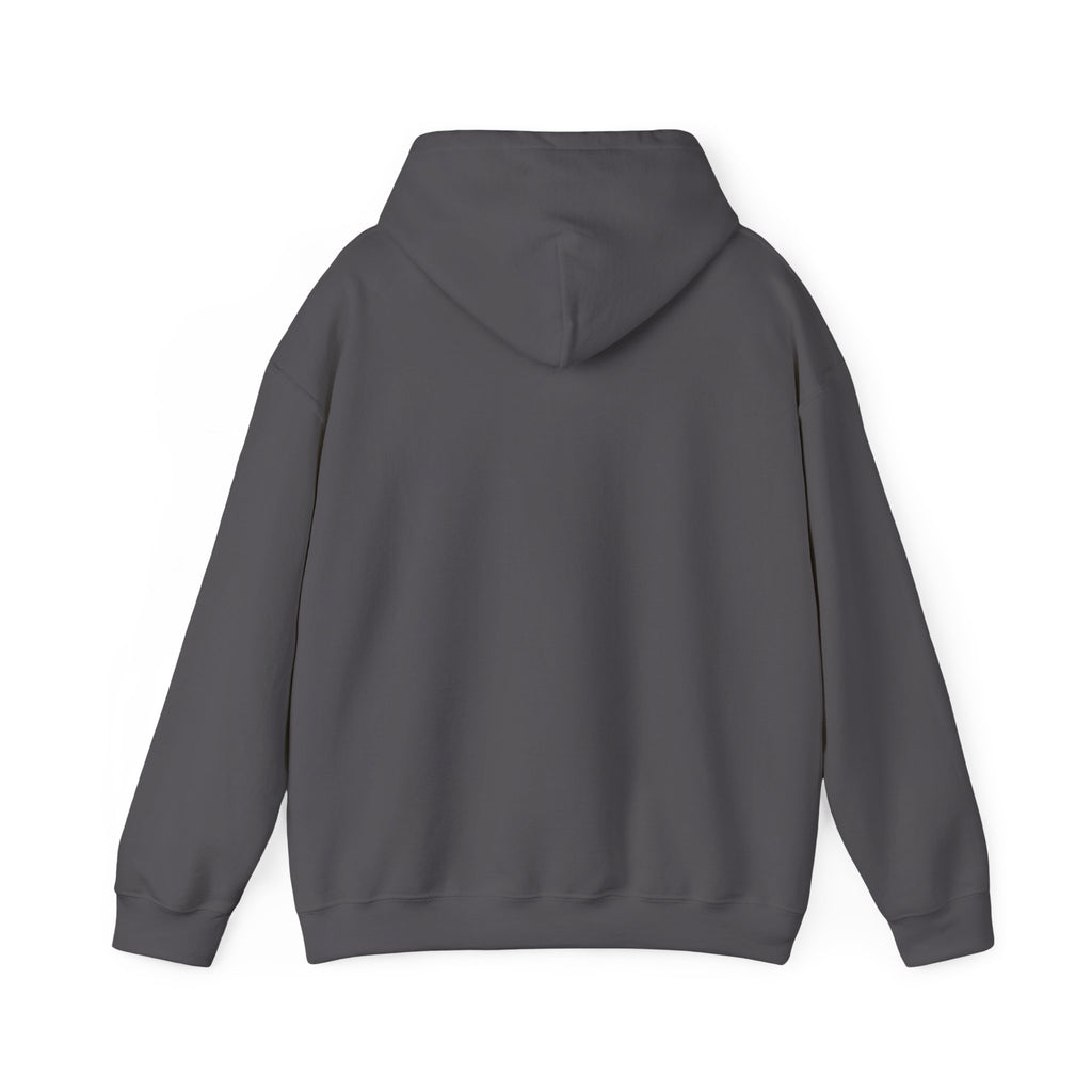 Philly Gayborhood Street Sign  Hoodie