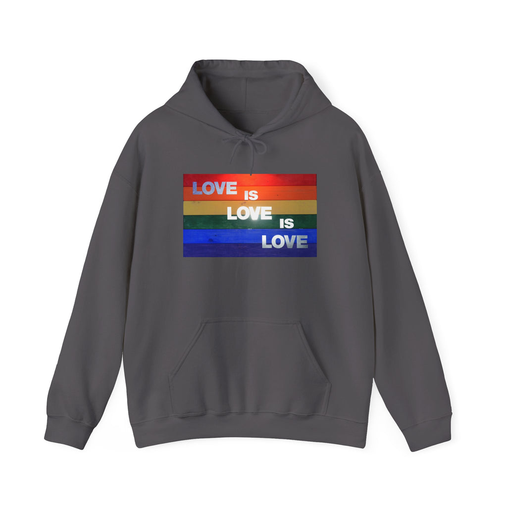 Love is Love is Lovel Heavy Blend™ Hoodie