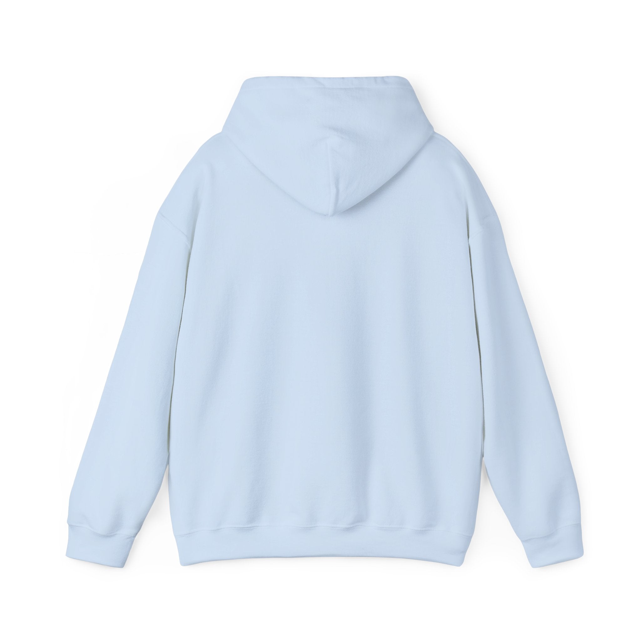 Grew up in the Gayborhood Hooded Sweatshirt