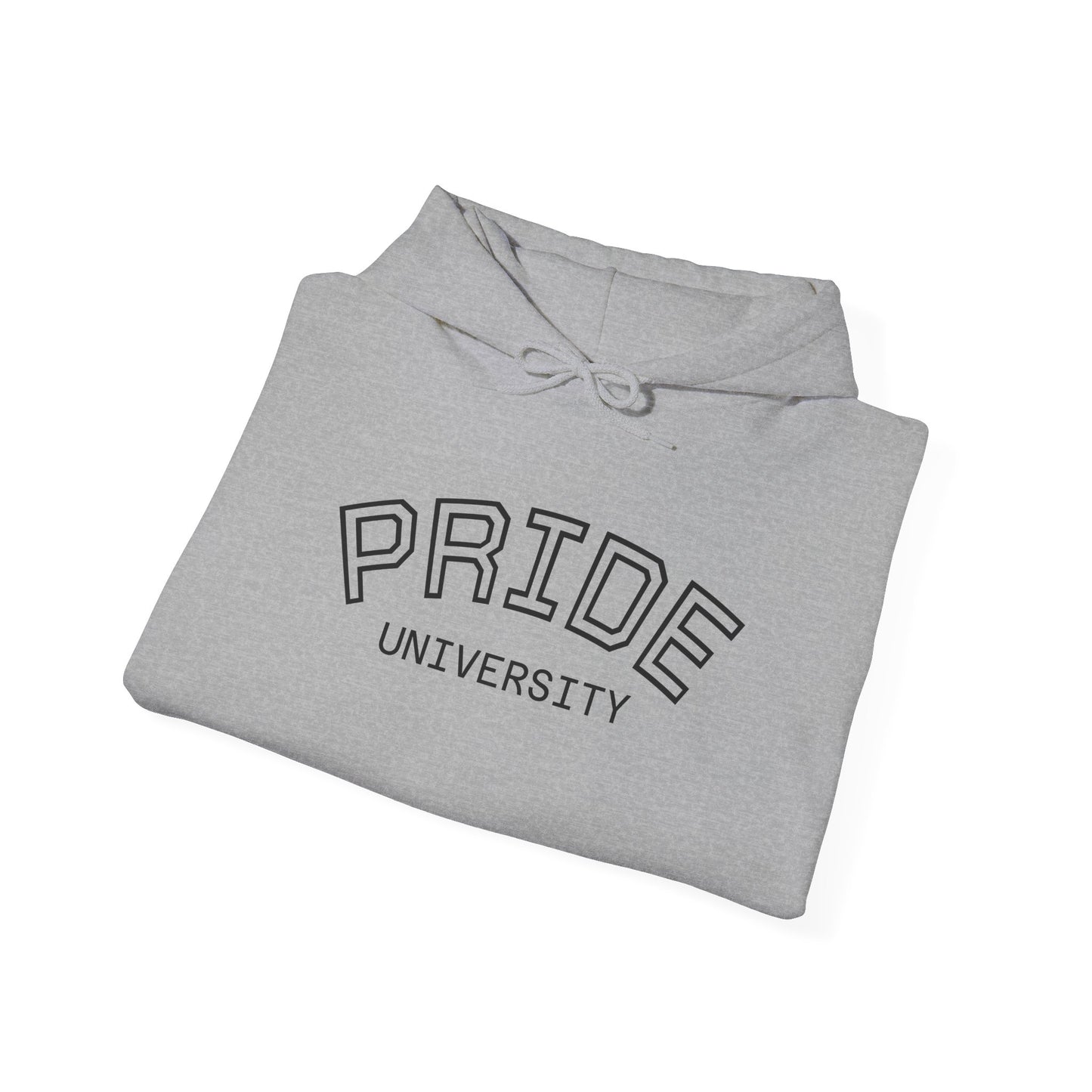 PRIDE University Hoodie - Unisex Hooded Sweatshirt
