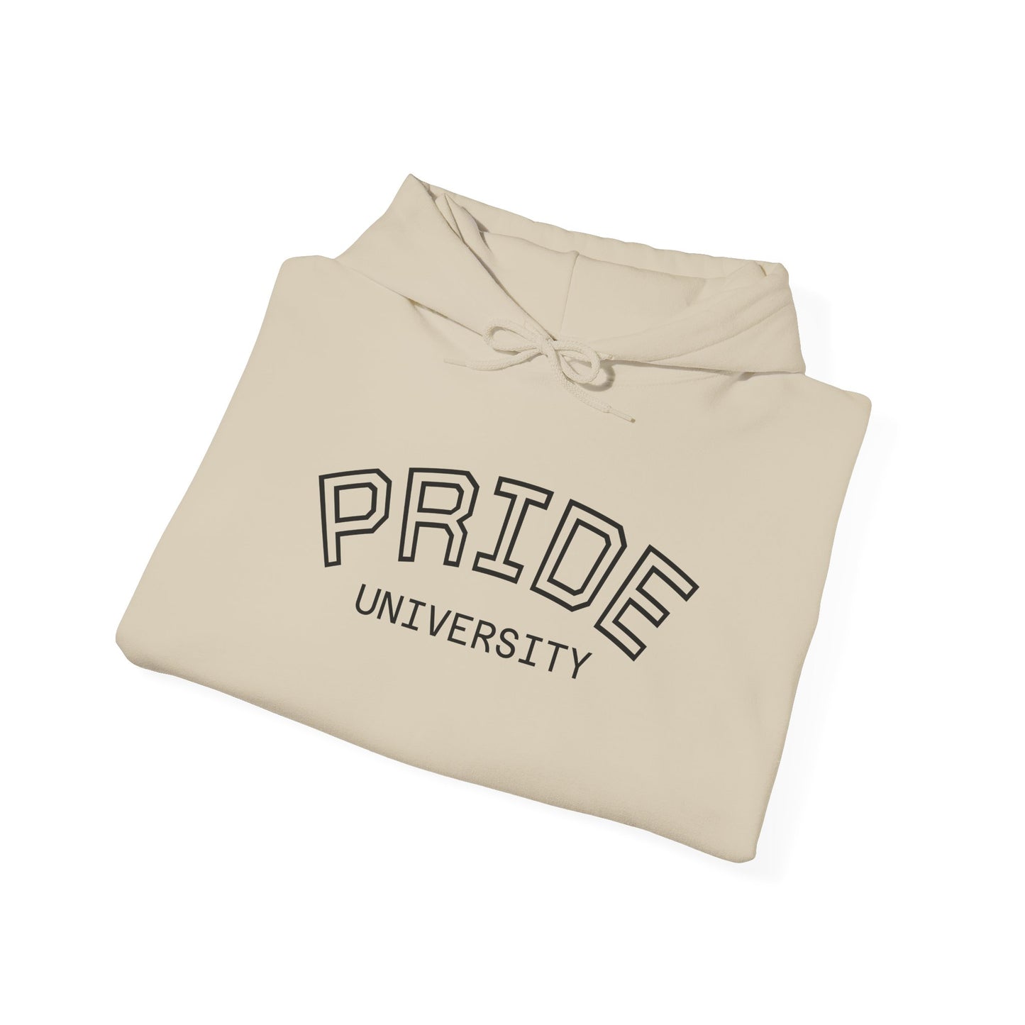 PRIDE University Hoodie - Unisex Hooded Sweatshirt