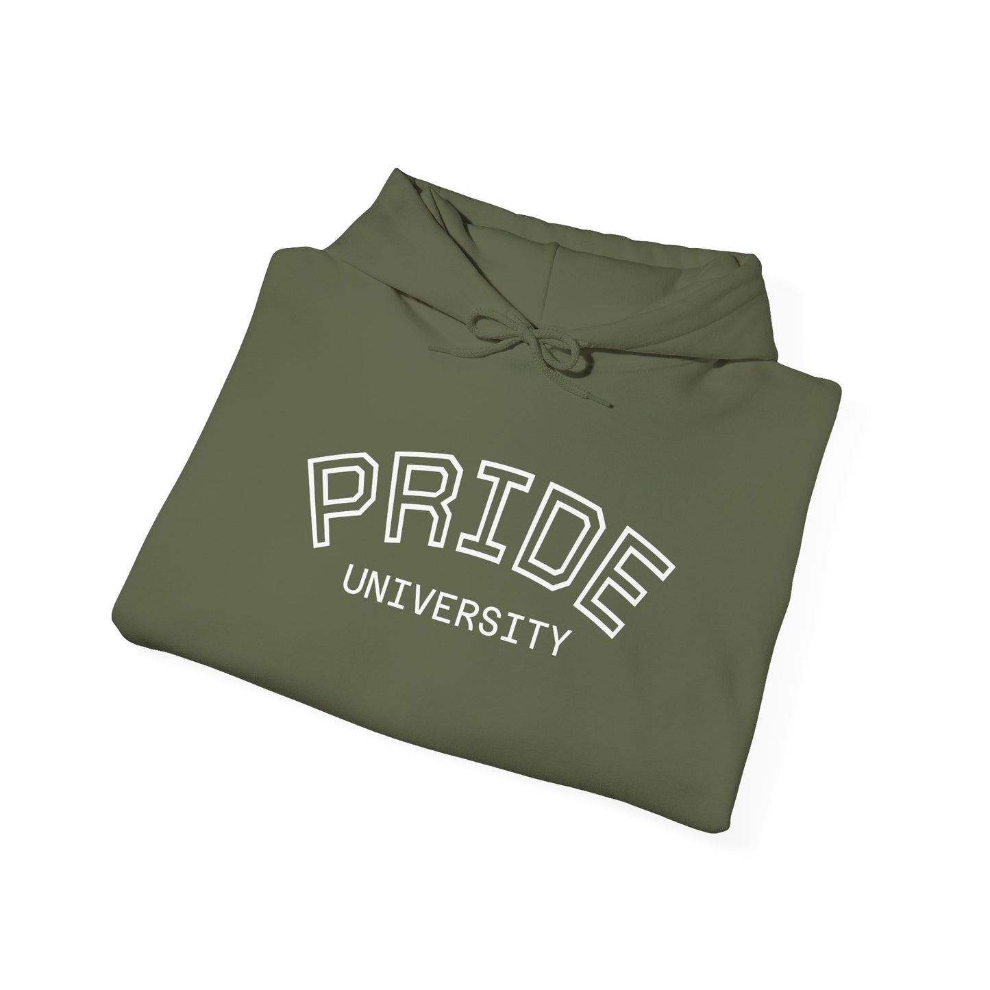 PRIDE University Hoodie - Unisex Hooded Sweatshirt