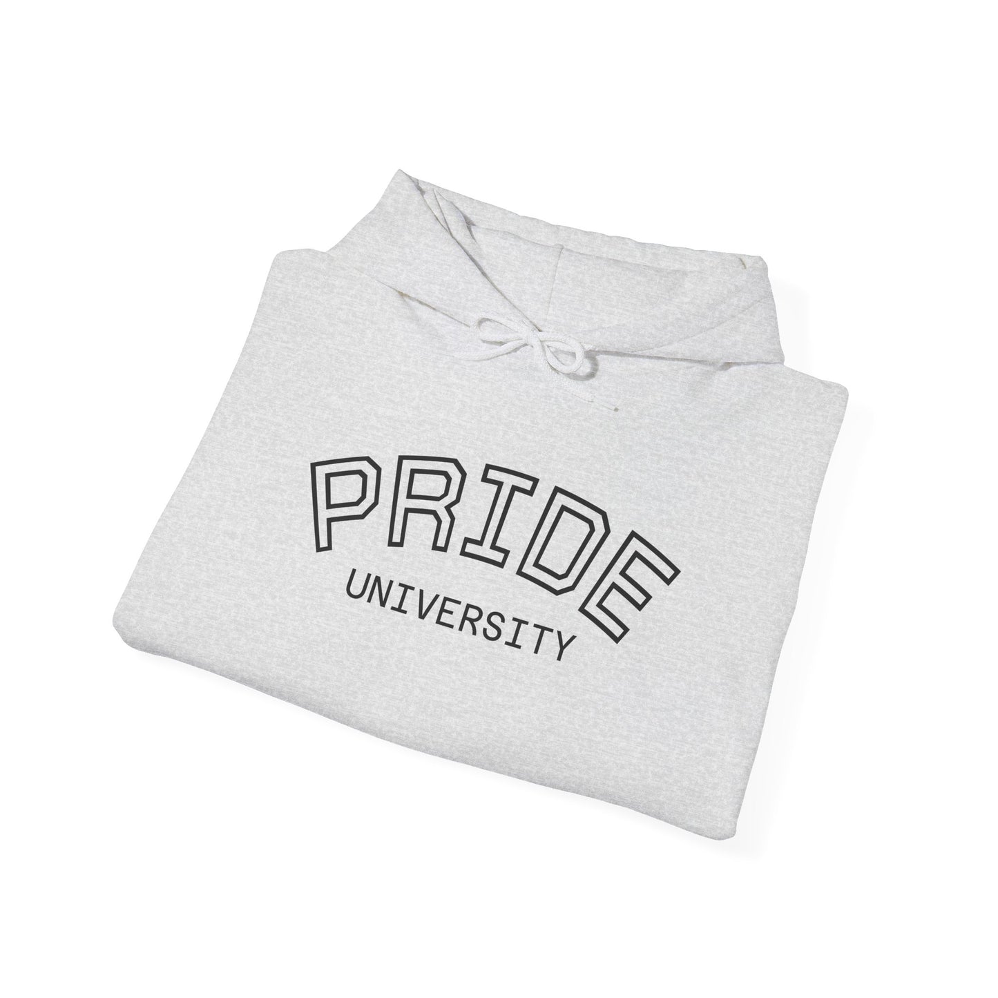PRIDE University Hoodie - Unisex Hooded Sweatshirt
