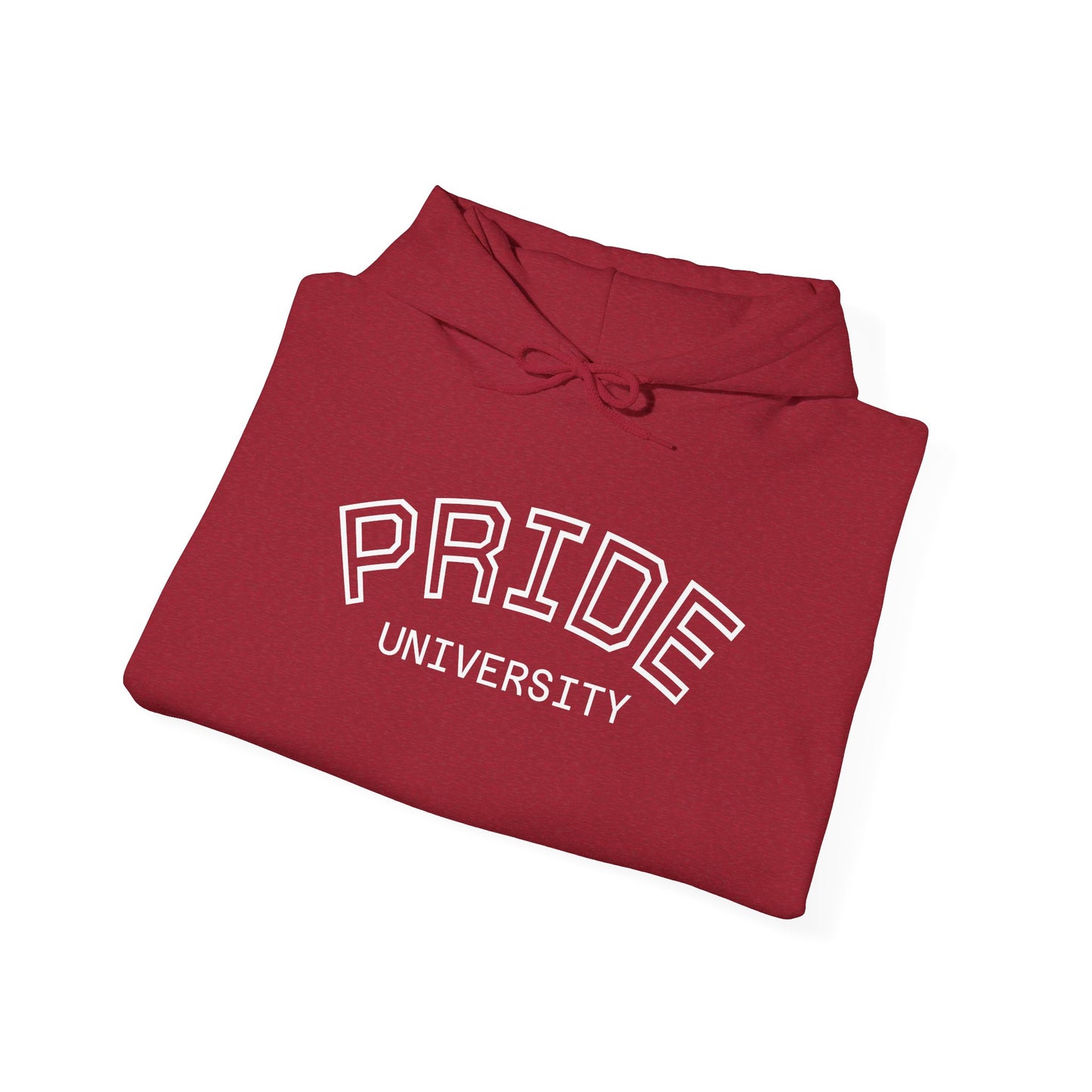 PRIDE University Hoodie - Unisex Hooded Sweatshirt