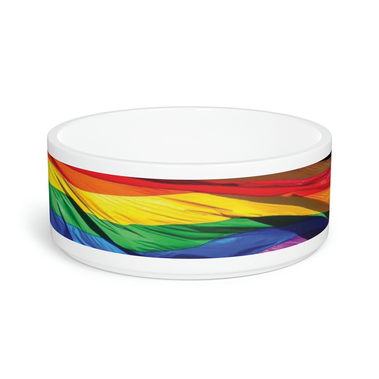 Rainbow Pet Bowl