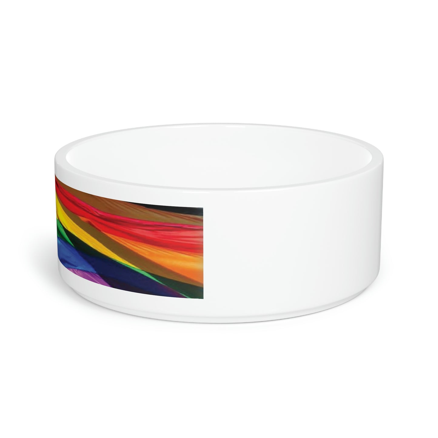 Rainbow Pet Bowl