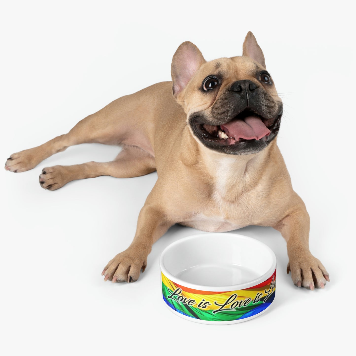 Love is Love is Love Pet Bowl