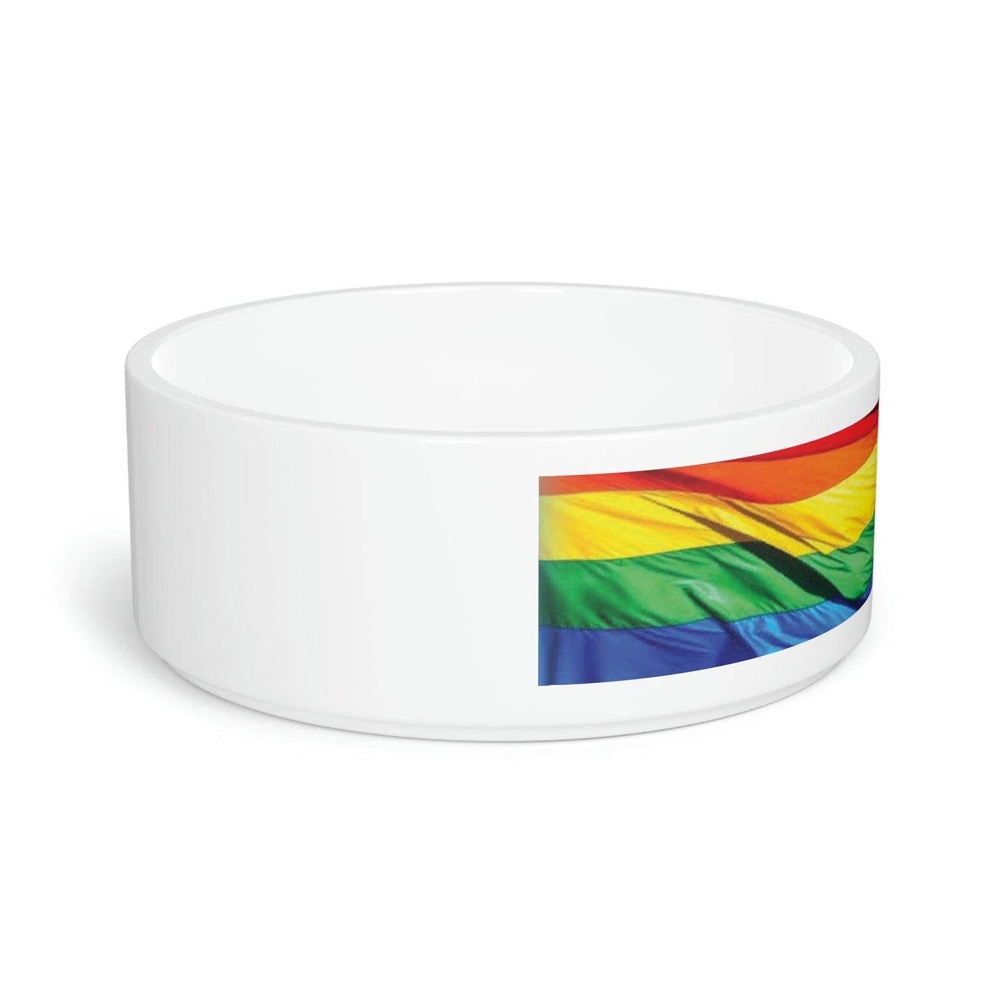 Rainbow Pet Bowl