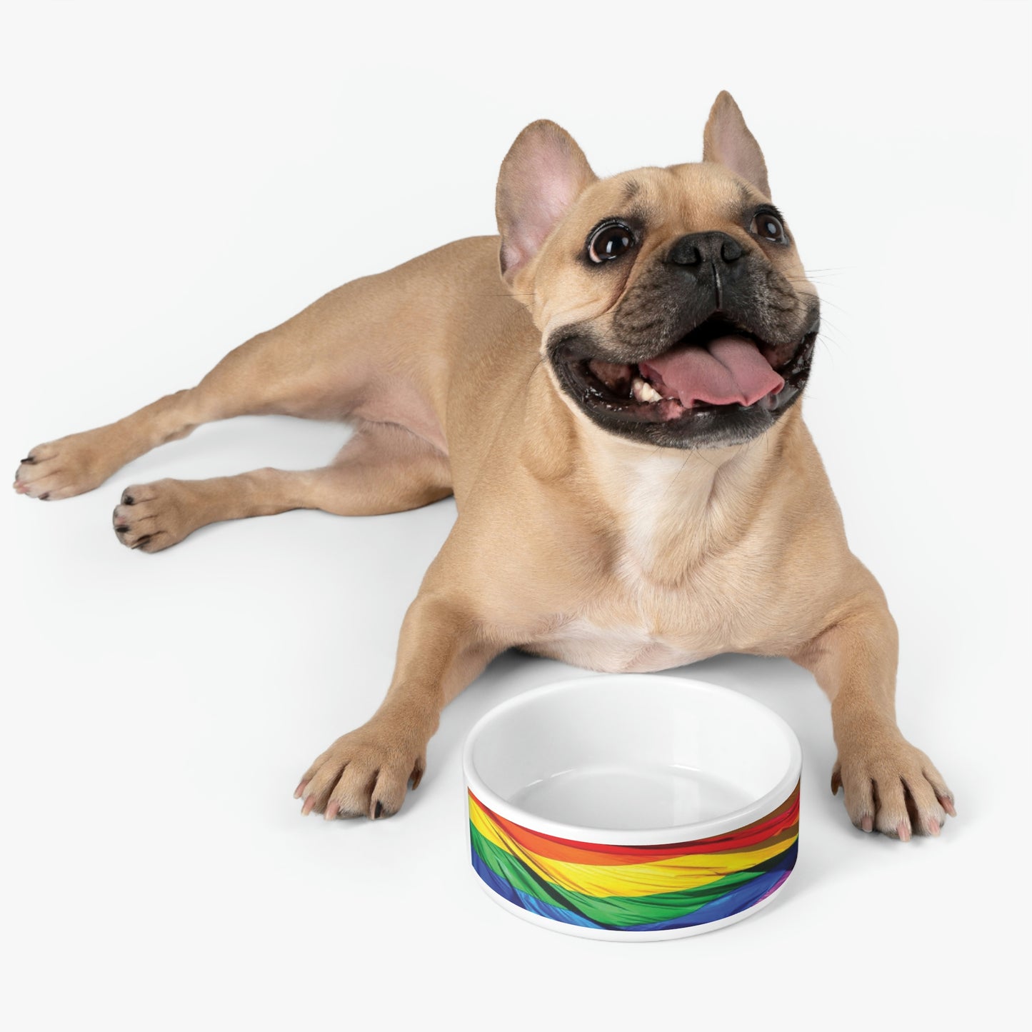 Rainbow Pet Bowl